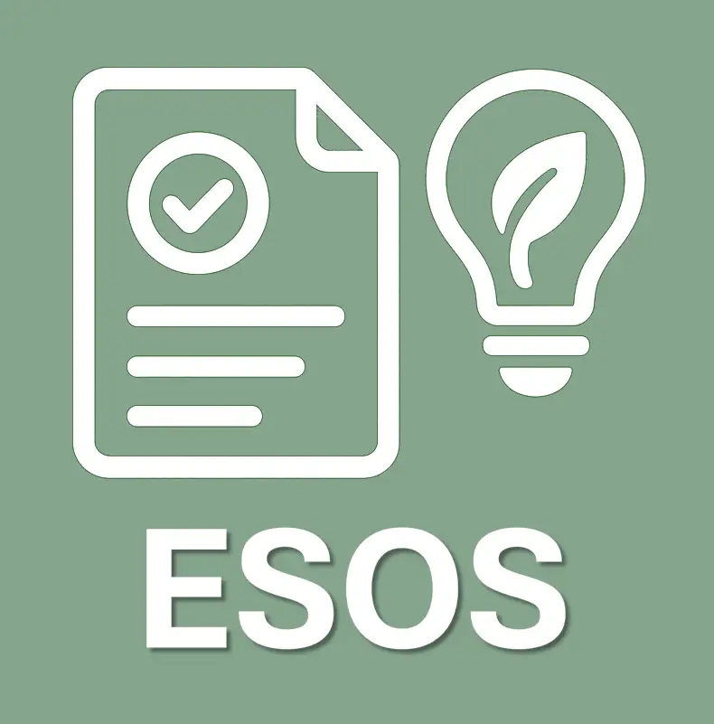 image showing report, lightbulb and ESOS text.